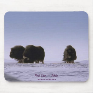 Arktische Moschee Oxen Ristorante da Valentino Mousepad