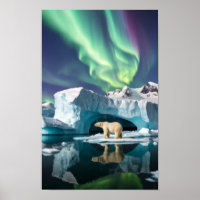 Arktische Natur Aurora Iceberg Außenbereich Landsc