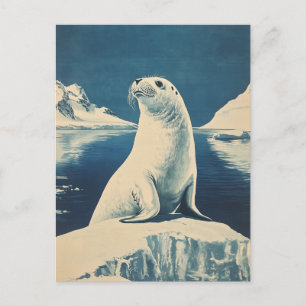 Arktische Robbe vintage Postkarte