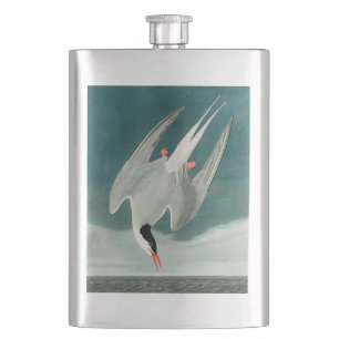 Arktische Seeschwalbe Audubon Vogel Wildlife-Maler Flachmann