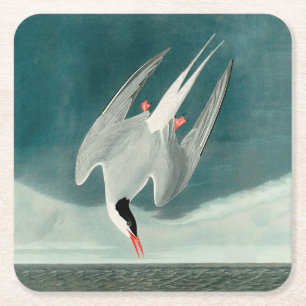 Arktische Seeschwalbe Audubon Vogel Wildlife-Maler Rechteckiger Pappuntersetzer