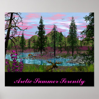 Arktische Sommerruhe Poster