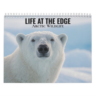 Arktische Tierwelt 2027 Kalender
