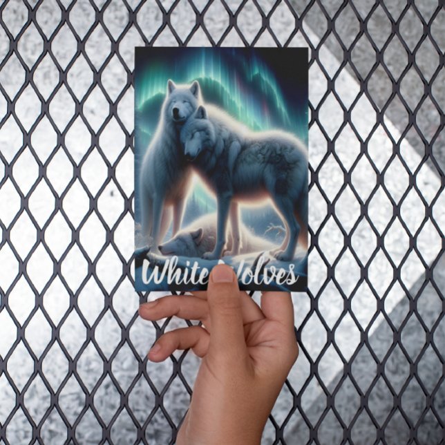 Arktische Wächter Postkarte (Von Creator hochgeladen)