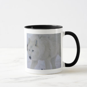 Arktische Wolf-Tasse Tasse
