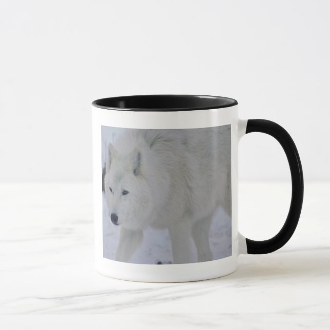 Arktische Wolf-Tasse Tasse (Rechts)