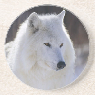 Arktische Wolf-Untersetzer Untersetzer