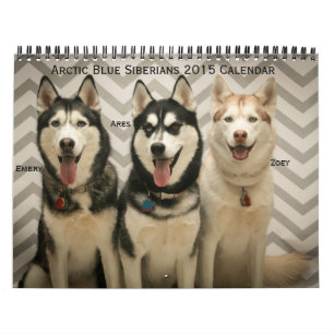 Arktischer blauer Kalender der Sibirier-2015
