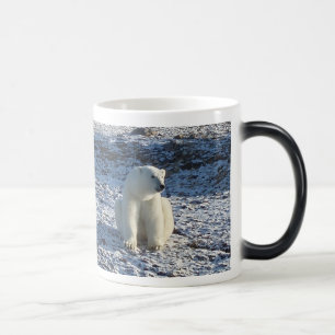 Arktischer Eisbär, arktische Kälte Verwandlungstasse