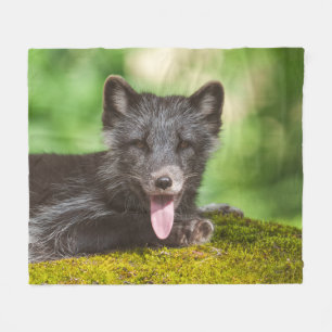 Arktischer Fox Fleecedecke