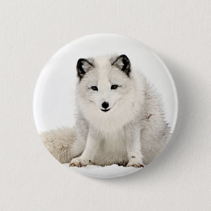 Arktischer Fox im Schnee Button