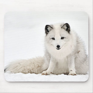Arktischer Fox im Schnee Mousepad