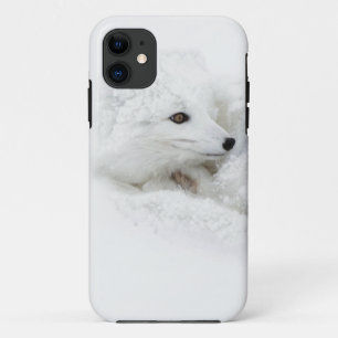 Arktischer Fox im Winter aufgerollt Case-Mate iPhone Hülle