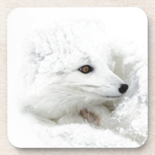 Arktischer Fox im Winter aufgerollt Getränkeuntersetzer
