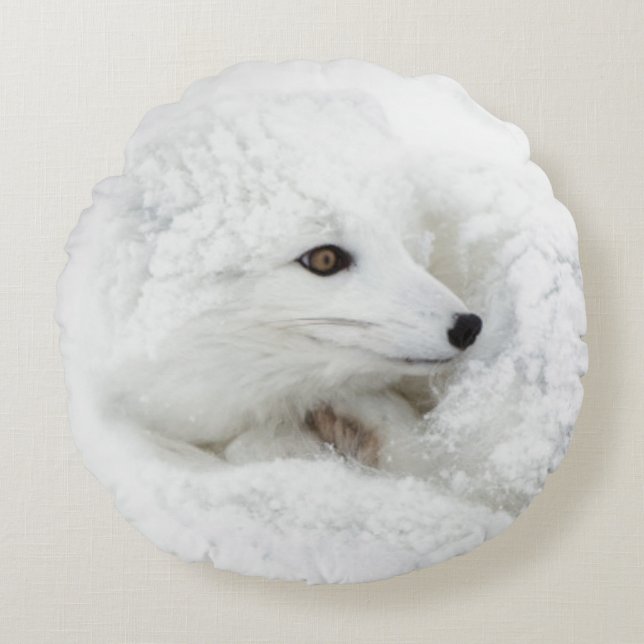 Arktischer Fox im Winter aufgerollt Rundes Kissen (Vorderseite)