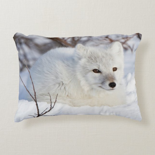 Arktischer Fox im Winter Zierkissen (Vorderseite)