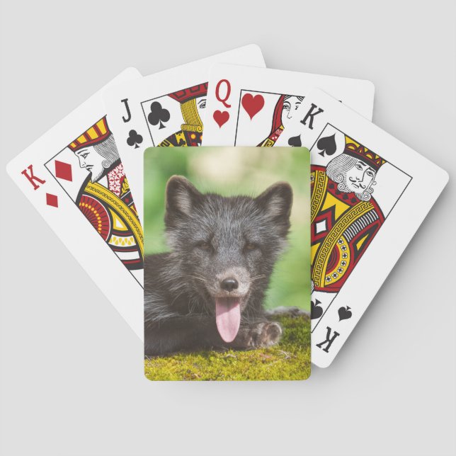 Arktischer Fox Spielkarten (Rückseite)