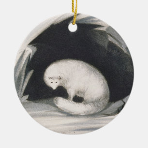 Arktischer Fox, 'von der Erzählung einer zweiten Keramik Ornament
