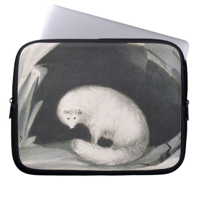 Arktischer Fox, 'von der Erzählung einer zweiten Laptopschutzhülle (Vorderseite)