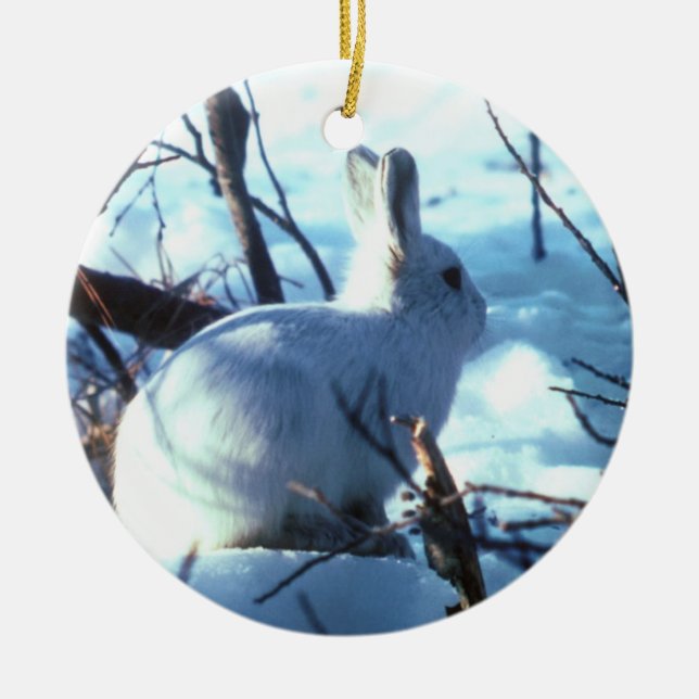 Arktischer Hase im Schnee Keramikornament (Vorne)