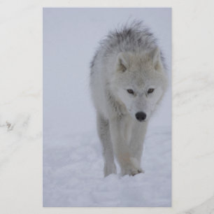 Arktischer Wolf Briefpapier