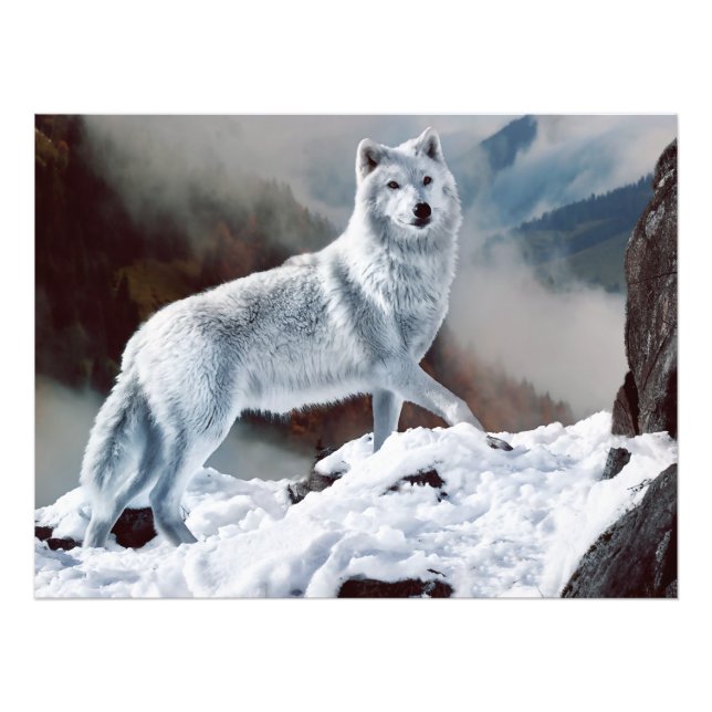 Arktischer Wolf Fotodruck (Vorne)