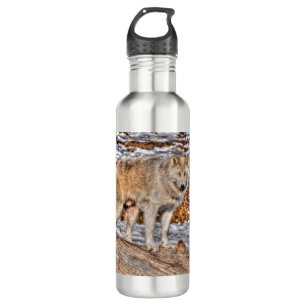 Arktischer Wolf im Winter Forest Wildlife Foto Trinkflasche