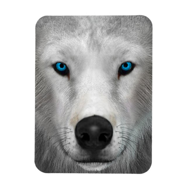 Arktischer Wolf Magnet (Vertikal)