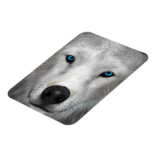 Arktischer Wolf Magnet