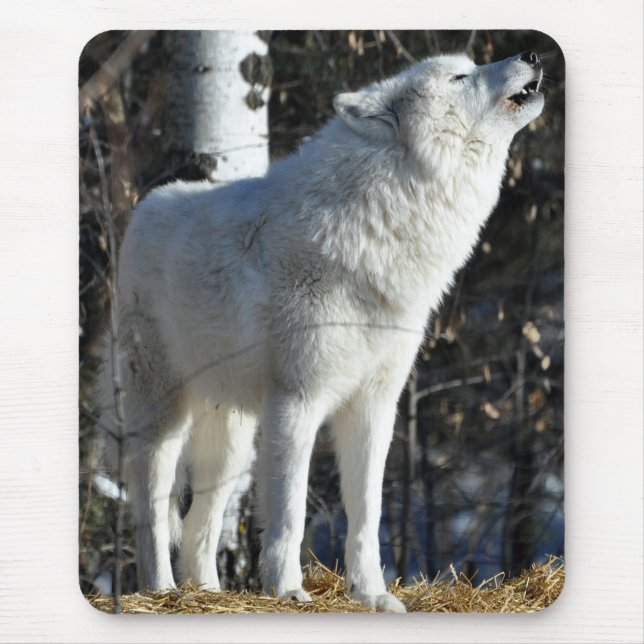 Arktischer Wolf Mousepad (Vorne)