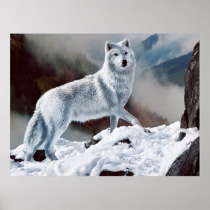 Arktischer Wolf Poster