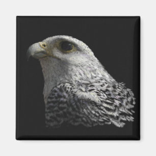 Arktisches Gyrfalcon Magnet