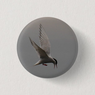 Arktisches Seeschwalben-Abzeichen Button