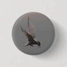 Arktisches Tern-Abzeichen Button