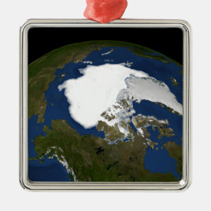 Arktisches Treibeis im Jahre 2005 Ornament Aus Metall