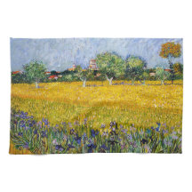 Arles mit Irisfarbe Vincent van Gogh