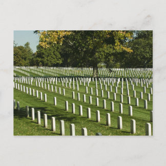 Arlington National Cemetery Postcard Postkarte