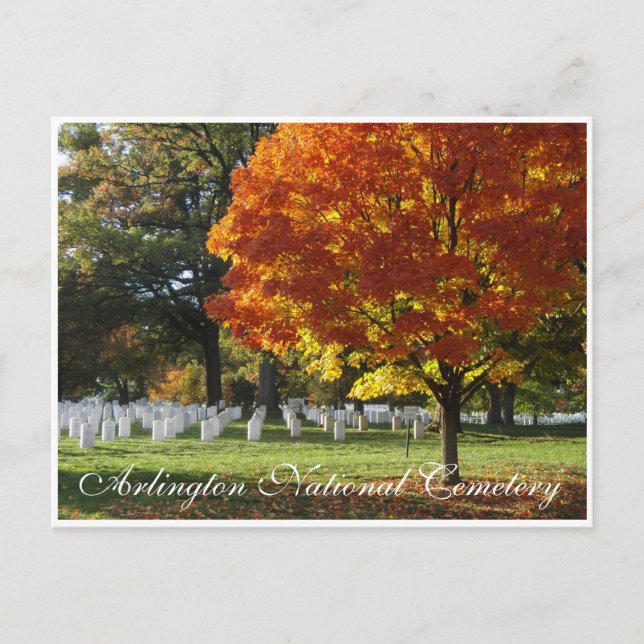 Arlington National Friedhof Postkarte (Vorderseite)