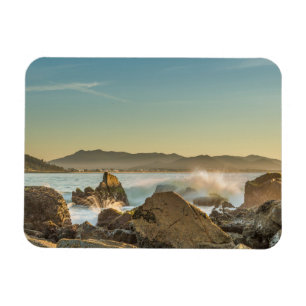 Armação Beach Magnet