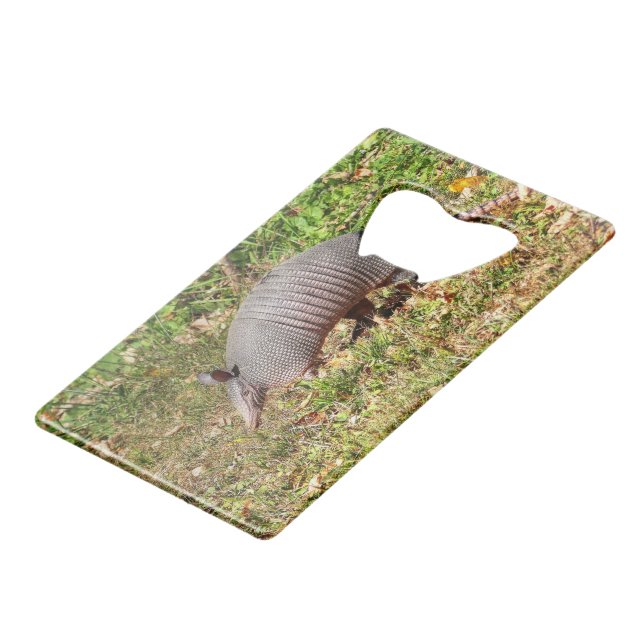 Armadillo (Devant Angle)
