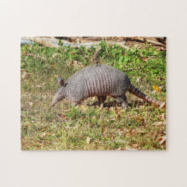 Armadillo