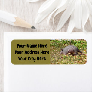 Armadillo