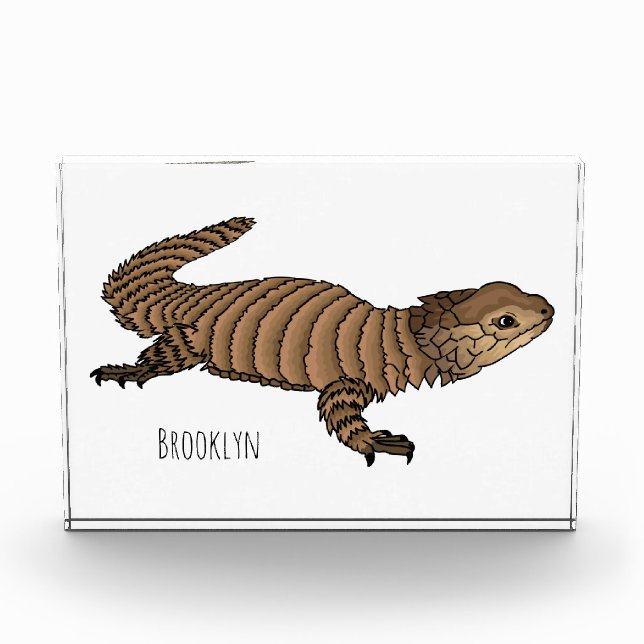 Armadillo girdled lizard cartoon illustration fotoblock (Vorderseite)