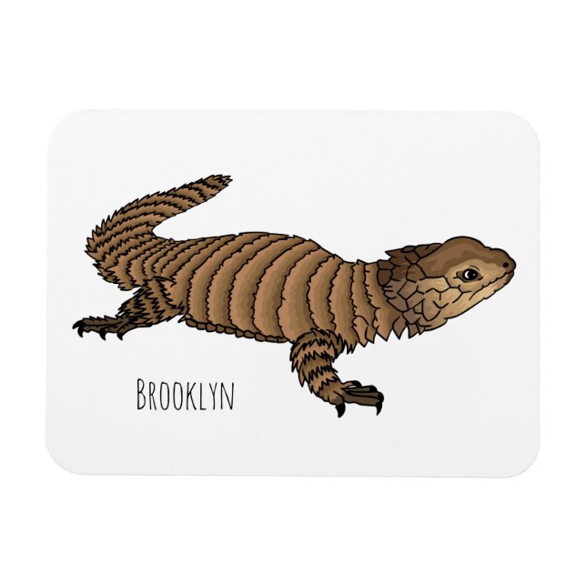 Armadillo girdled lizard cartoon illustration magnet (Horizontal)