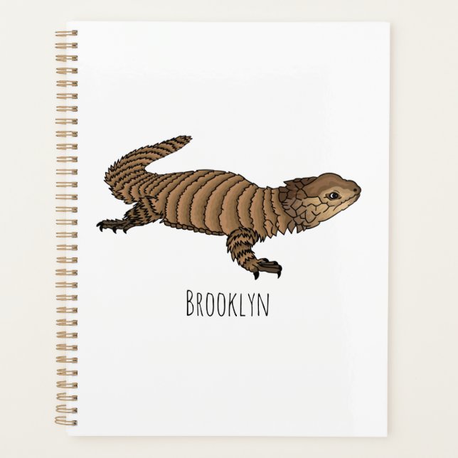 Armadillo girdled lizard cartoon illustration planer (Vorderseite)