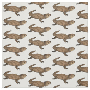 Armadillo girdled lizard cartoon illustration stoff