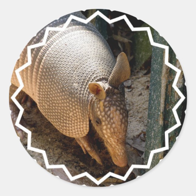 Armadillo Stickers (Vorderseite)