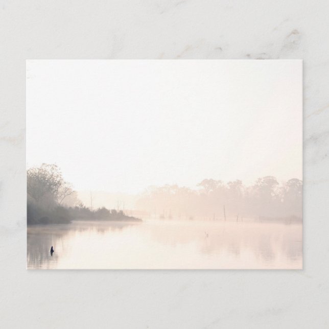 Armand Bayou fog Postkarte (Vorderseite)
