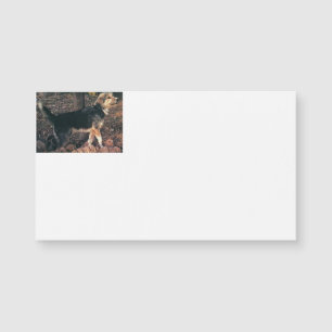 Armant full.png magnetkarte