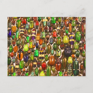 Armee der Käfer und Bugs Postkarte